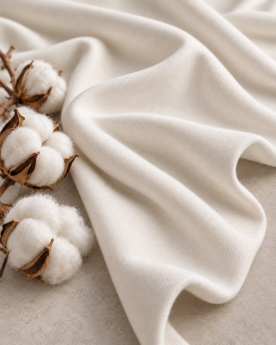 Malha Chinesa Cotton Xinjiang off-white, com capulhos de algodão ao lado